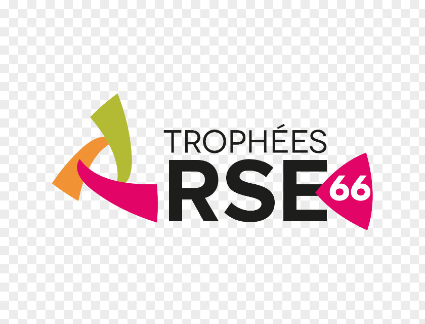 Rse Logo Celebrity Flag Football Challenge 2018 Brand WordPress PNG