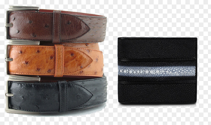 Belt Buckles Common Ostrich Leather PNG