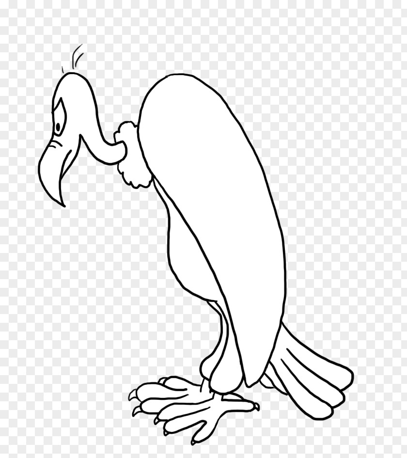 Chicken Beak Bird Galliformes Clip Art PNG
