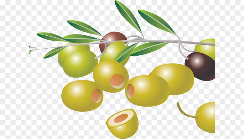 Lingonberry Olive Family Tree Background PNG