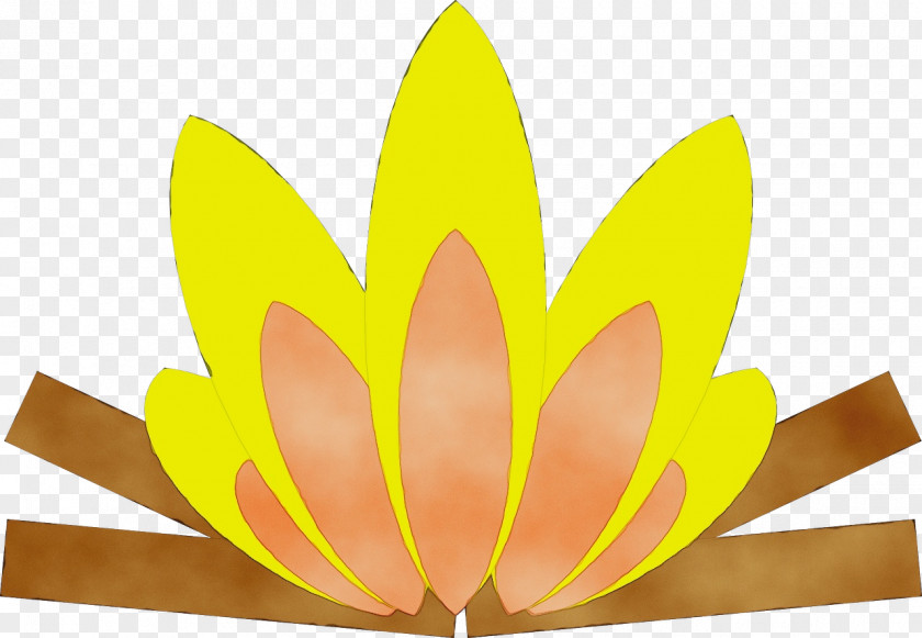 Sacred Lotus Lily Flower Cartoon PNG