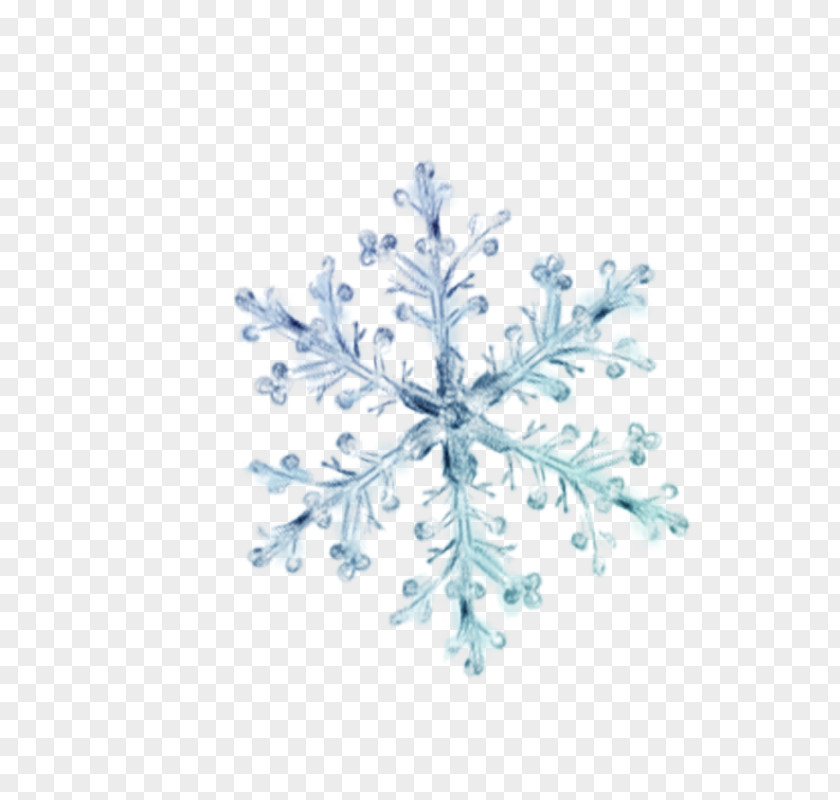 Snowflake Crystal PNG