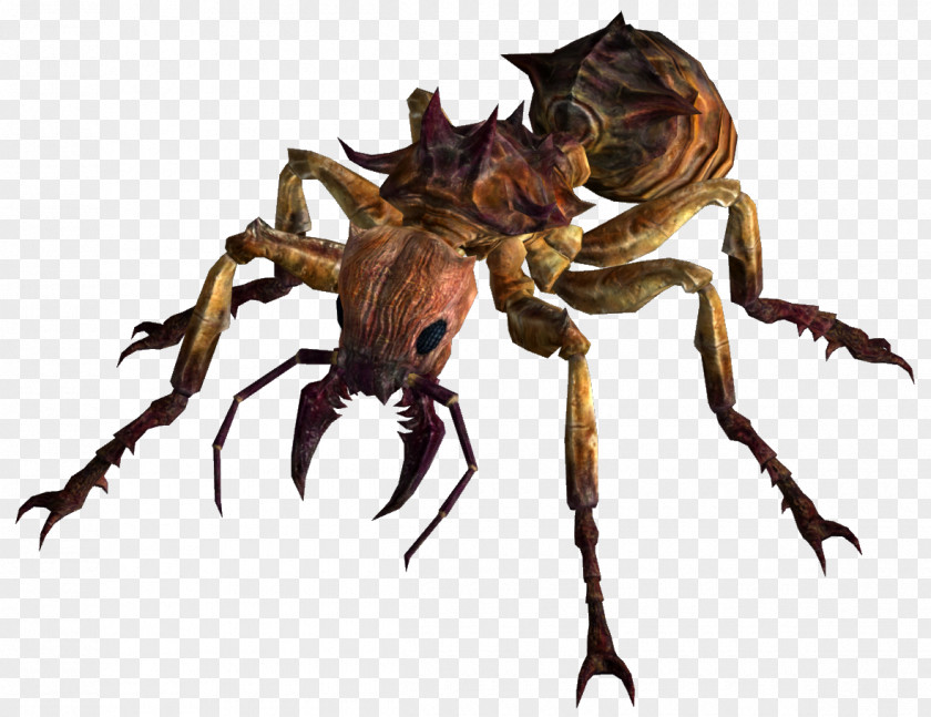 Ant Fallout: New Vegas Fire Insect Pogonomyrmex PNG