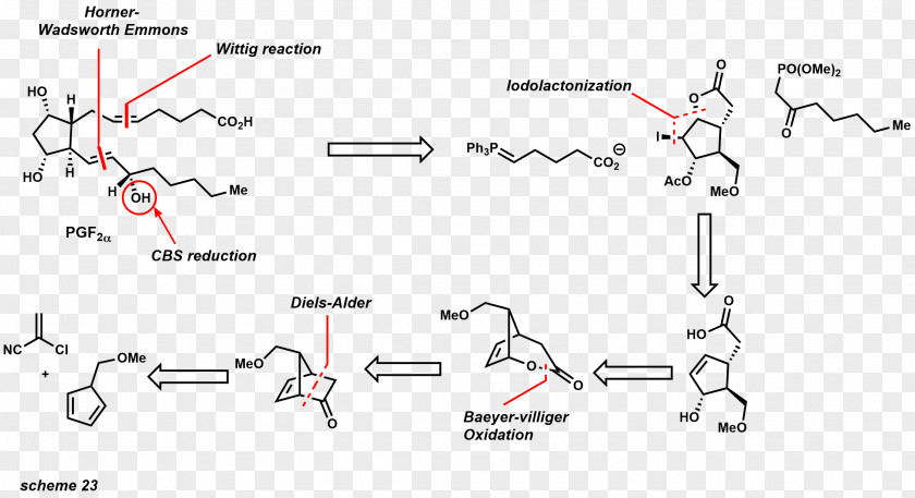 Birth Control Retrosynthetic Analysis Chemical Synthesis Prostaglandin Organic Chemistry PNG