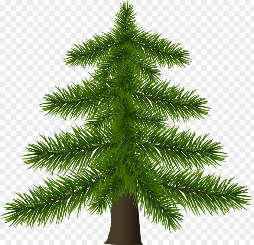 Fir-tree Christmas Tree Pine PNG