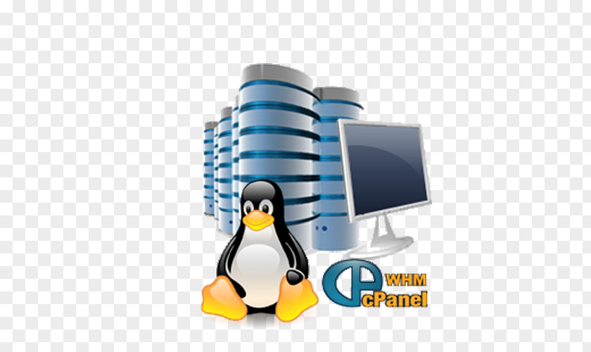 Linux Website Development Web Hosting Service Reseller Internet Computer Servers PNG
