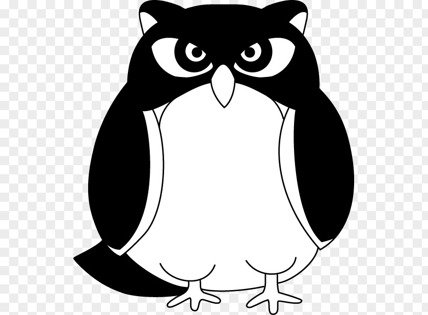Penguin Clip Art Illustration Owl Line PNG