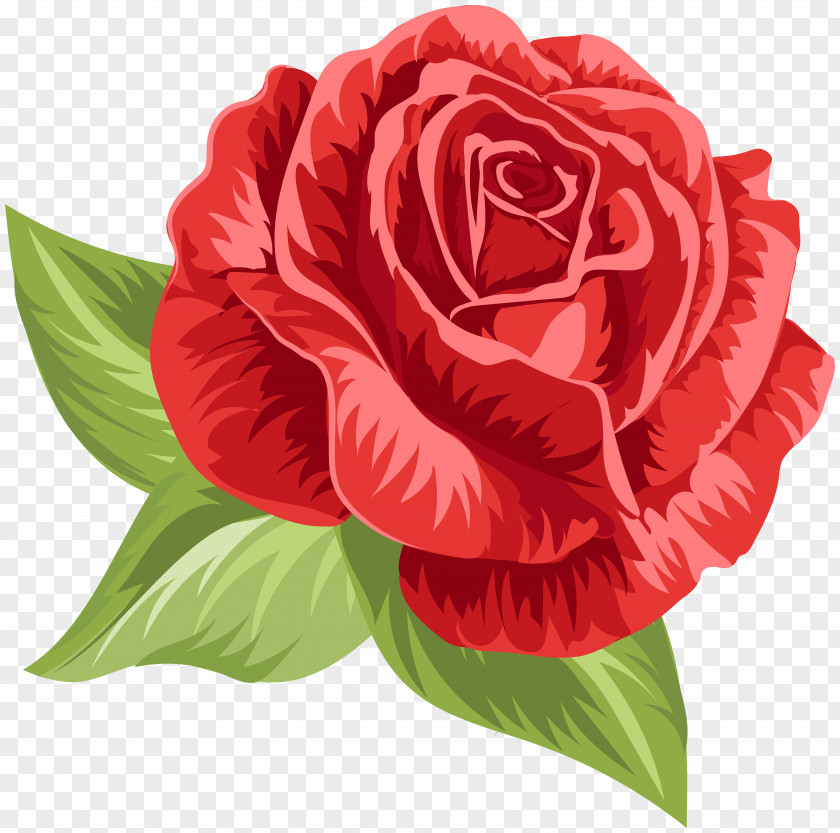 Red Vintage Rose Clip Art Garden Roses Centifolia Floribunda Floral Design Cut Flowers PNG