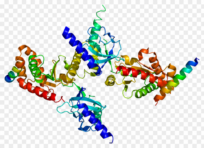 Repolarization Voltage-gated Calcium Channel Protein CACNB3 Gene Ion PNG