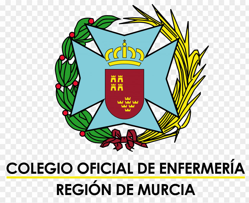School Colegio Oficial De Enfermería La Región Murcia Nursing Escola Formação Complementar Do Exército Familiar Y Comunitaria PNG