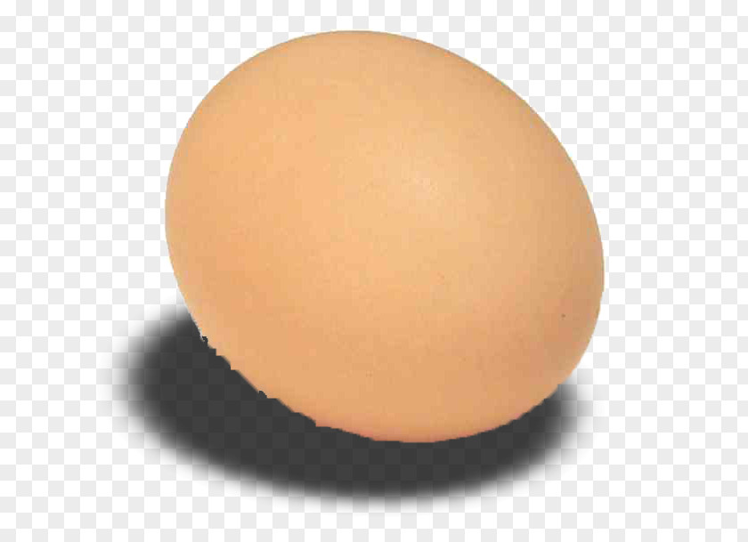 Aurora Oregon Ternua Sphere XL Egg PNG