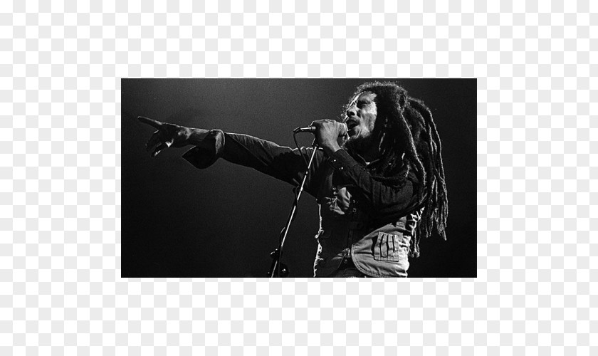Bob Marley Museum And The Wailers Song MetroLyrics Reggae PNG