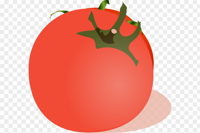 Green Tomato Marinara Sauce Vegetable Clip Art PNG