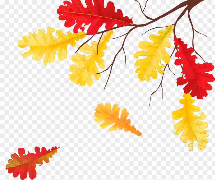 Withered Autumn Leaves Golden Leaf Child PNG