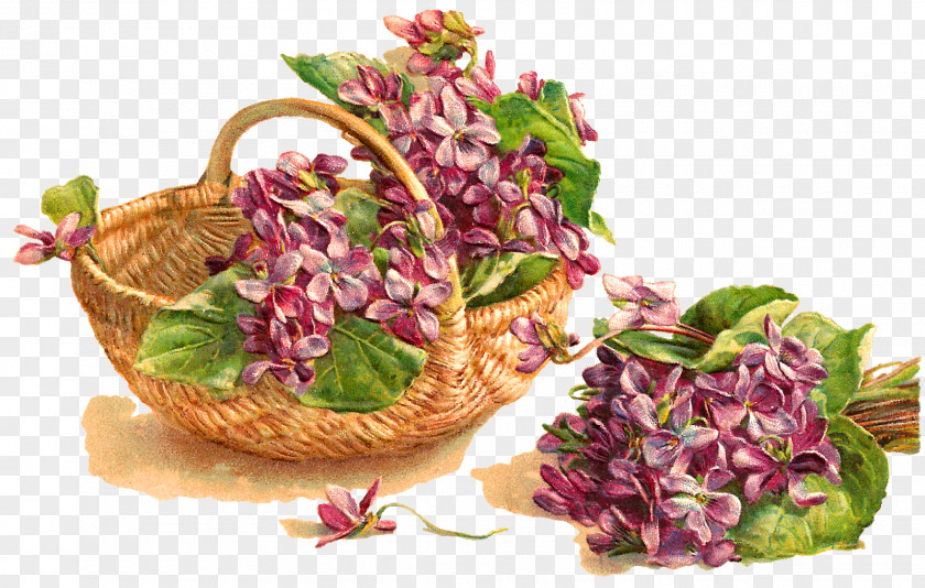 Basket Flower Violet Clip Art PNG
