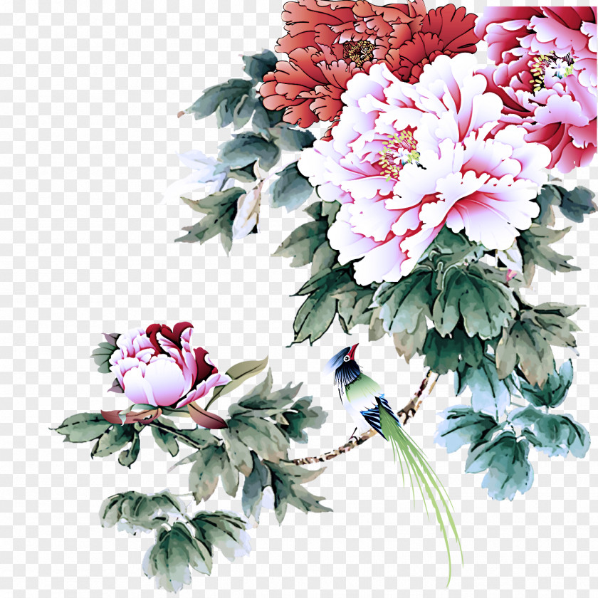 Bouquet Chinese Peony Flower Flowering Plant Common Cut Flowers PNG