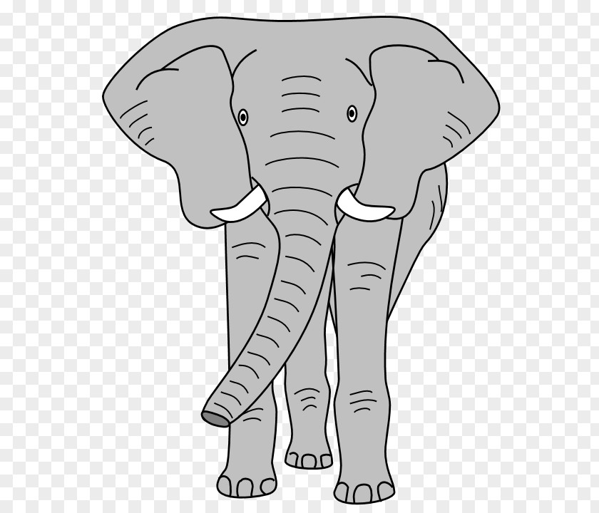 Elephant Face Cliparts Indian African Clip Art PNG