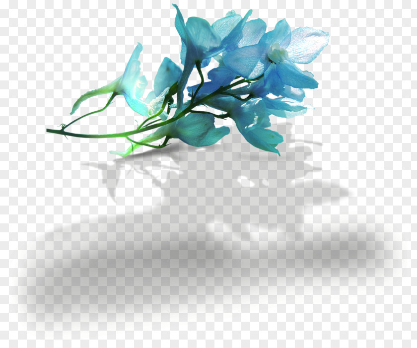 Flower Clip Art Image Blue PNG