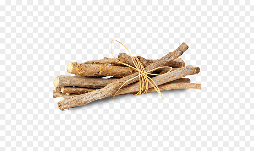 Food Chinese Cinnamon Stick Ginseng Plant Herb PNG