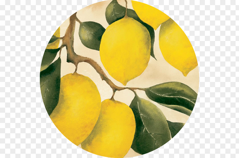 Lemon Citron Orchard Fruit PNG