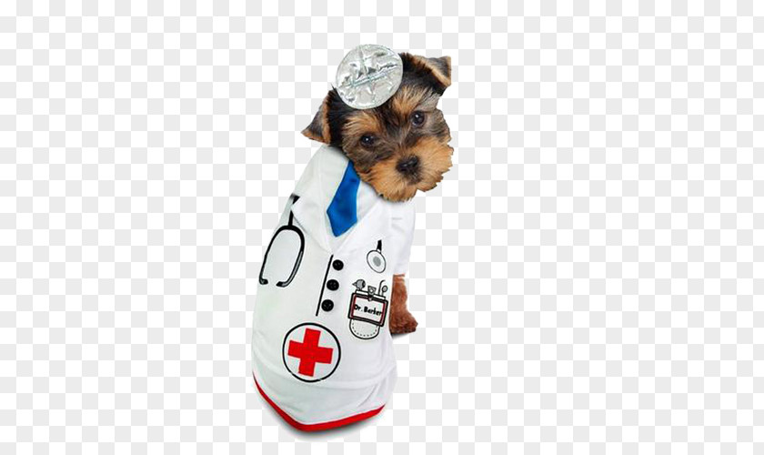Pet Dog Doctor Puppy Halloween Costume PNG