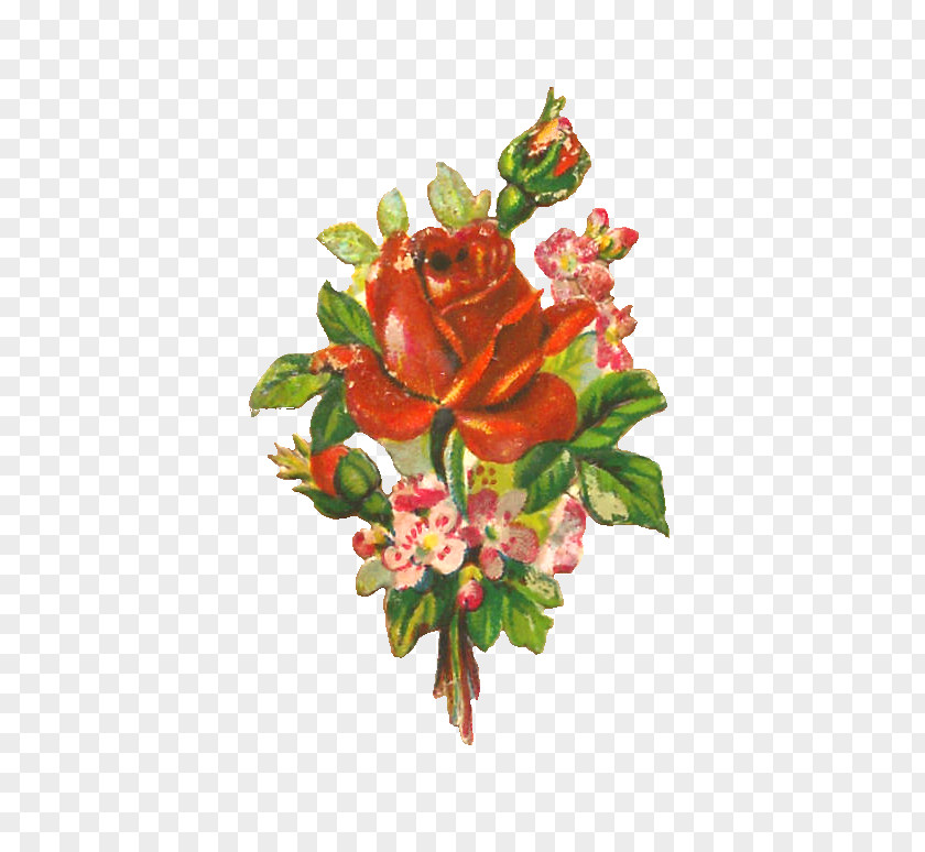 Rose Garden Roses Flower Floral Design Clip Art PNG