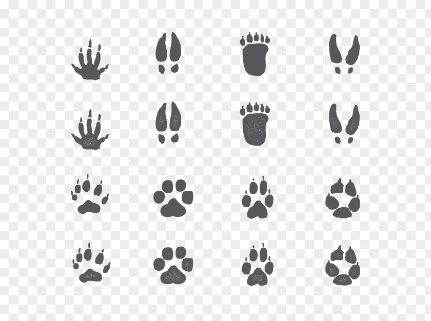 Vector Animal Footprints Poster Illustration PNG
