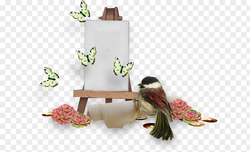 19 Mayis Photography Easel Clip Art PNG