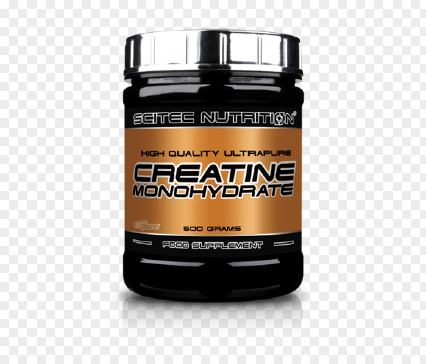 Creatine Brand Nutrition Sport PNG