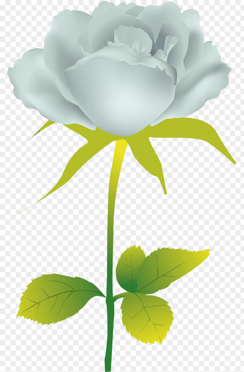 Flower Garden Roses Clip Art PNG