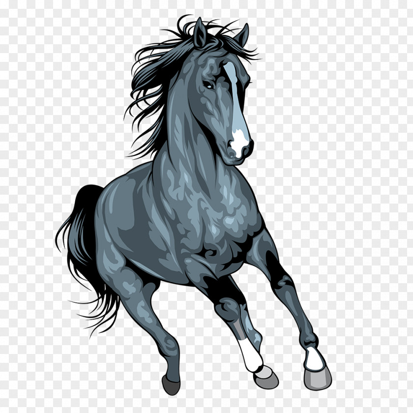 Grey Horse Mustang Arabian Pony Illustration Art PNG