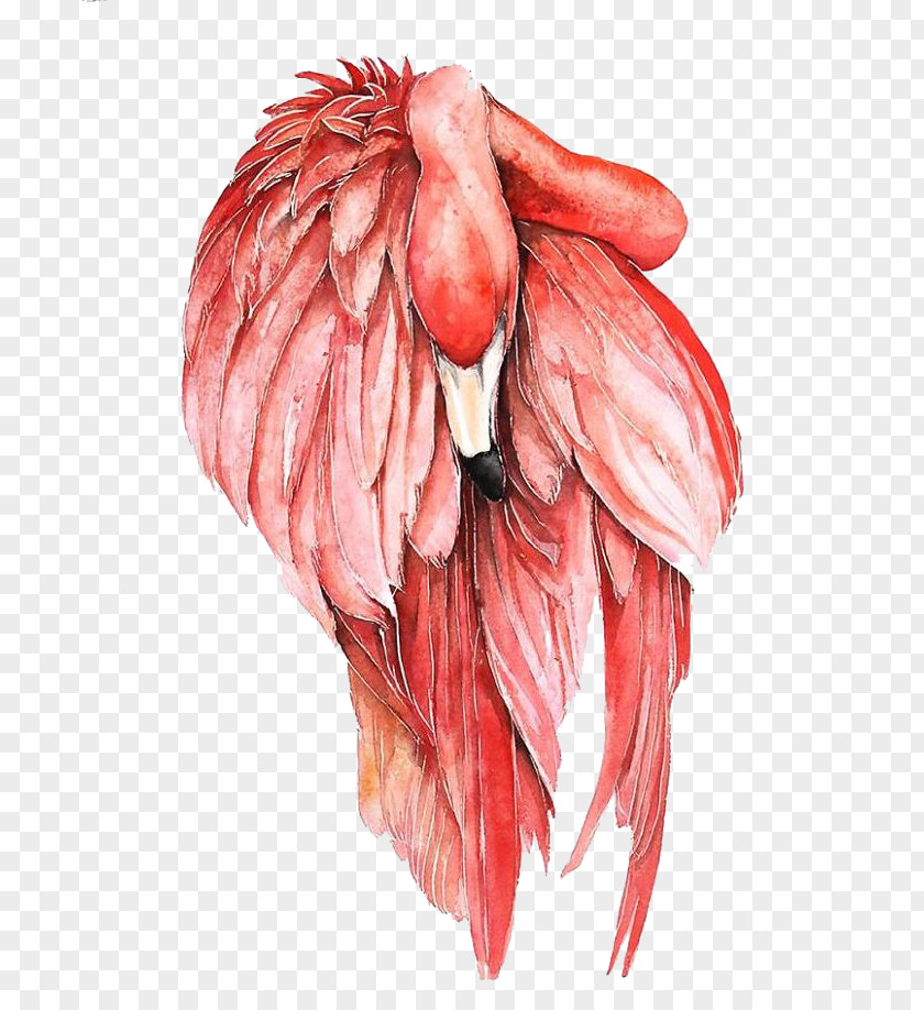 Hand-painted Flamingos Flamingo Bird Watercolor Painting Drawing PNG