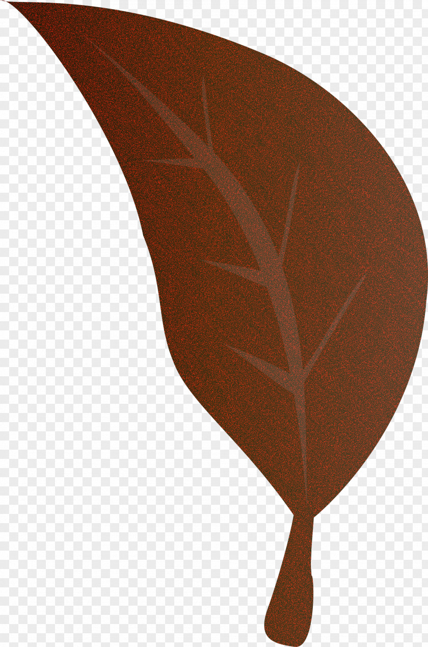 Leaf Science Plants Plant Structure Biology PNG