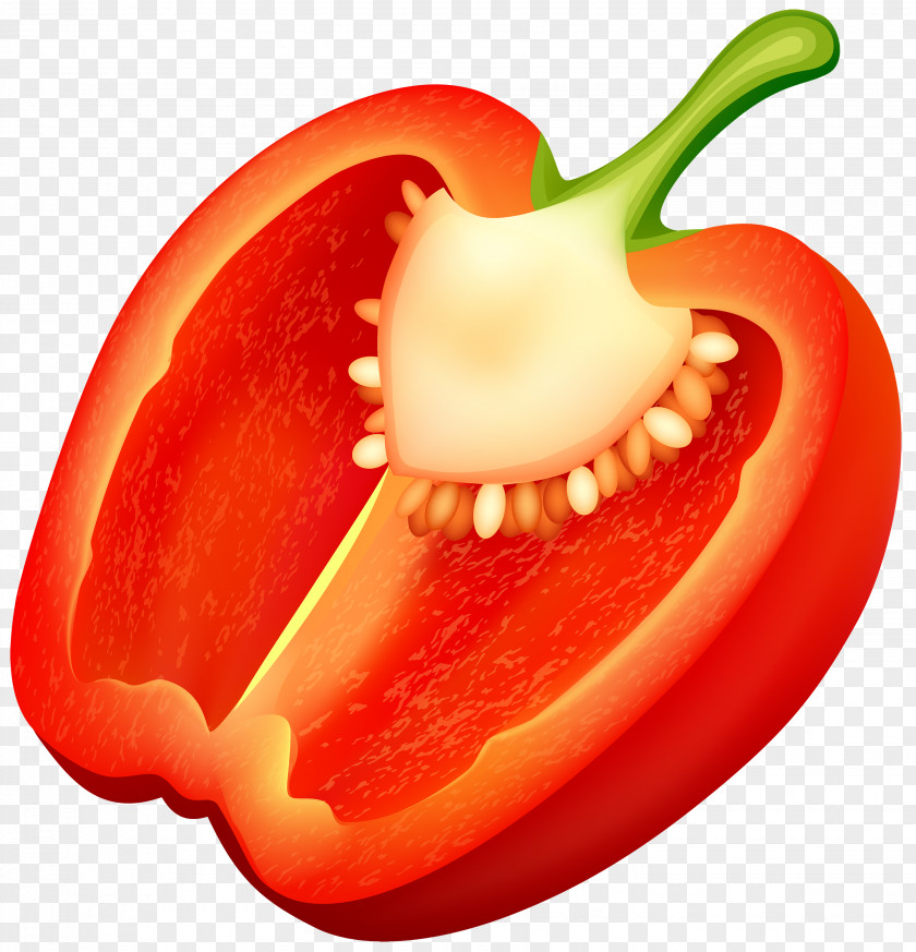 Pepper Bell Cayenne Chili Vegetable Clip Art PNG