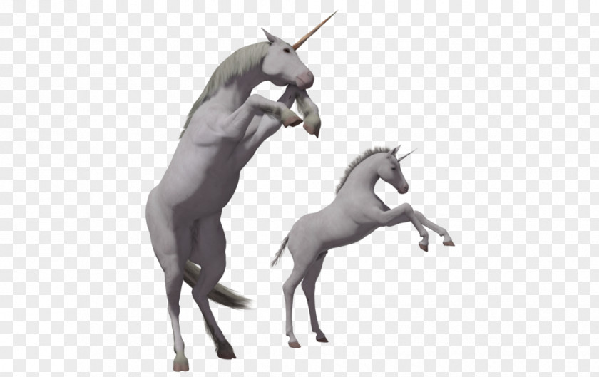 Unicorn Horse PhotoScape PNG