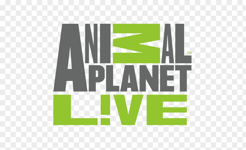 Animal Planet Live Logo Livestream Television PNG