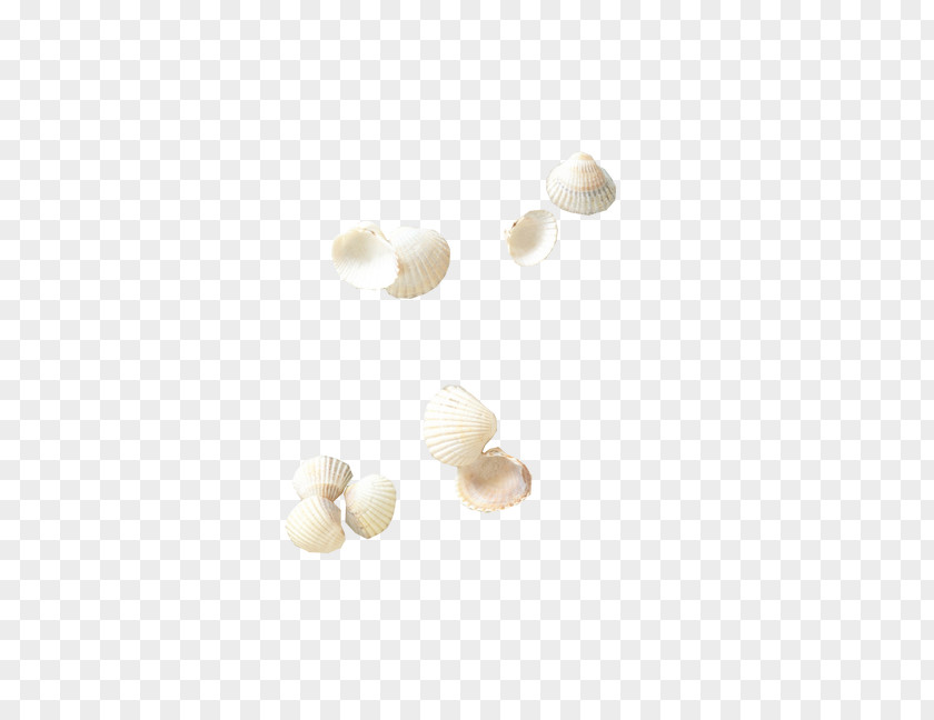 Conch White Flooring Pattern PNG