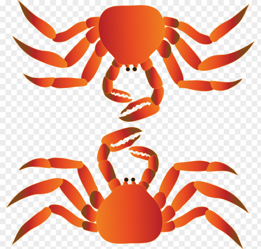 Crab Dungeness Lobster Clip Art PNG
