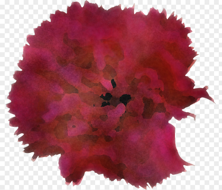 Pink Red Flower Magenta Cut Flowers PNG