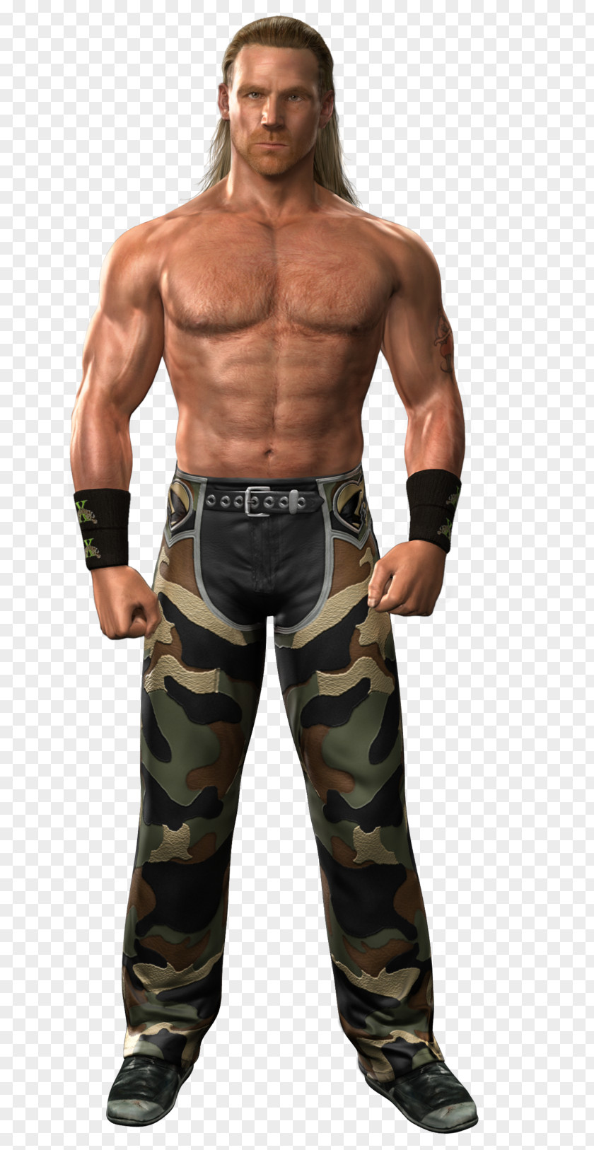 Shawn Michaels WWE SmackDown Vs. Raw 2011 SmackDown! D-Generation X PNG vs. X, daniel bryan clipart PNG