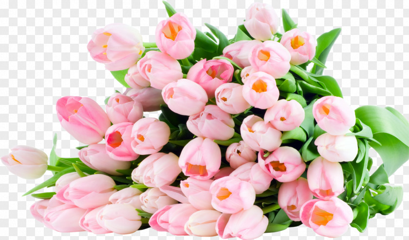 8 March Flower Bouquet Tulip Android Cakes Online PNG
