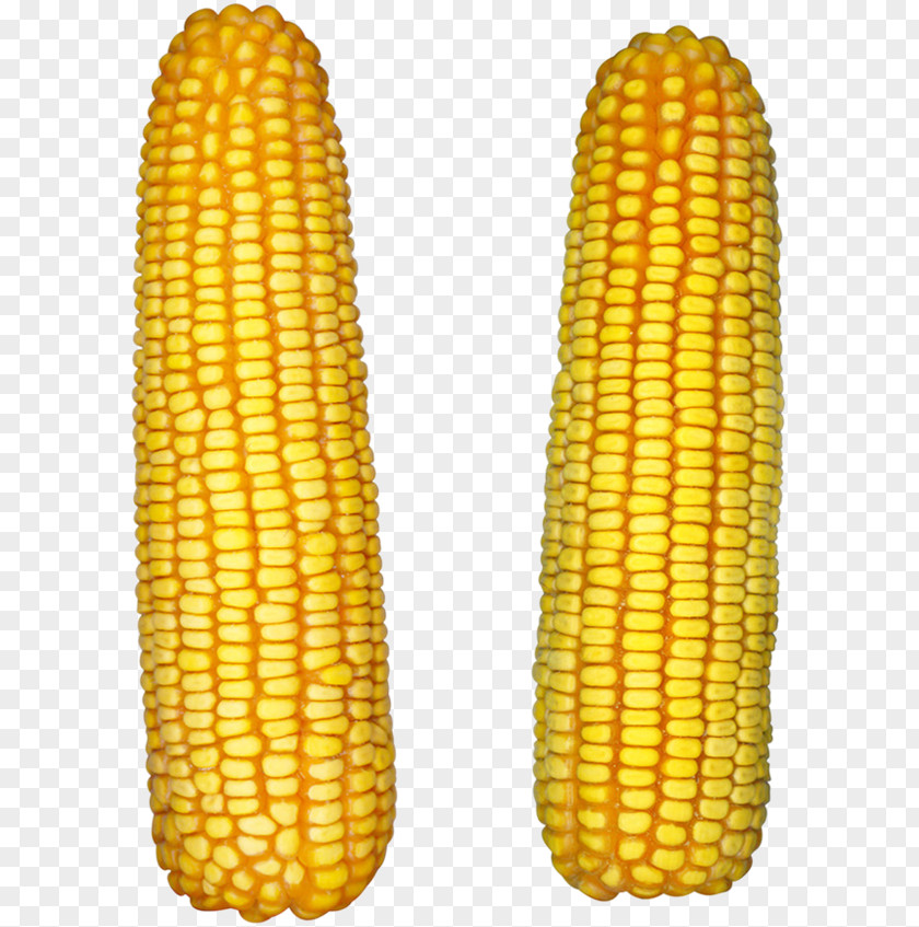 Corn On The Cob Popcorn Maize Sweet PNG