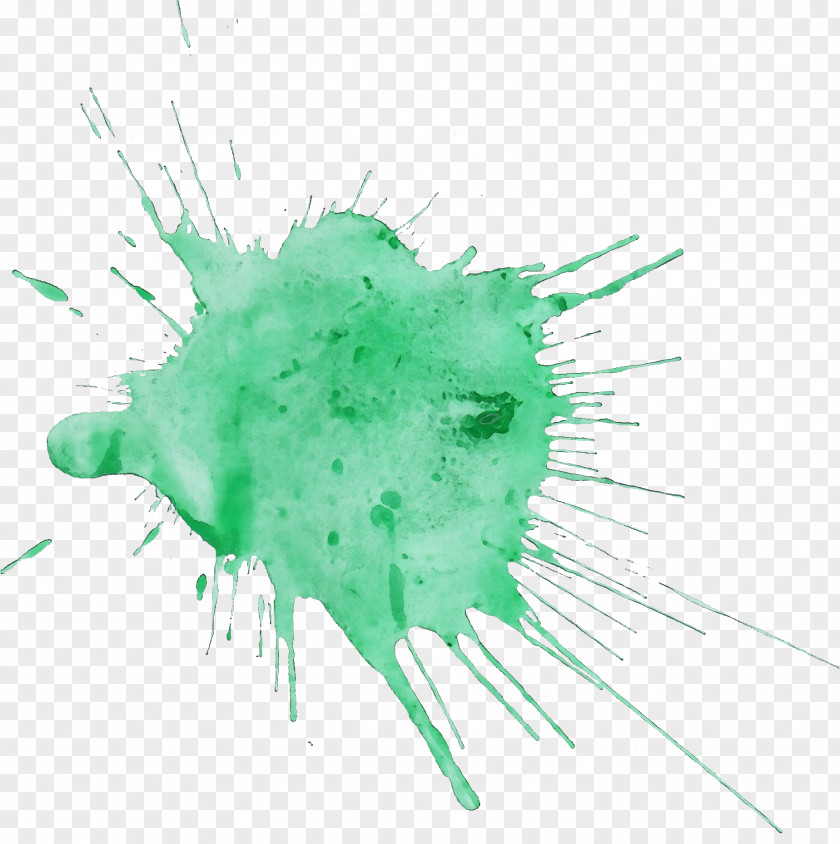 Feather Green Watercolor Cartoon PNG