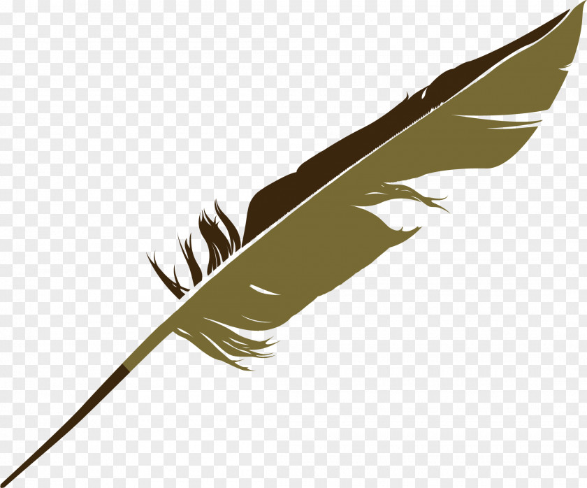 Feather Vector Element Bird Euclidean PNG
