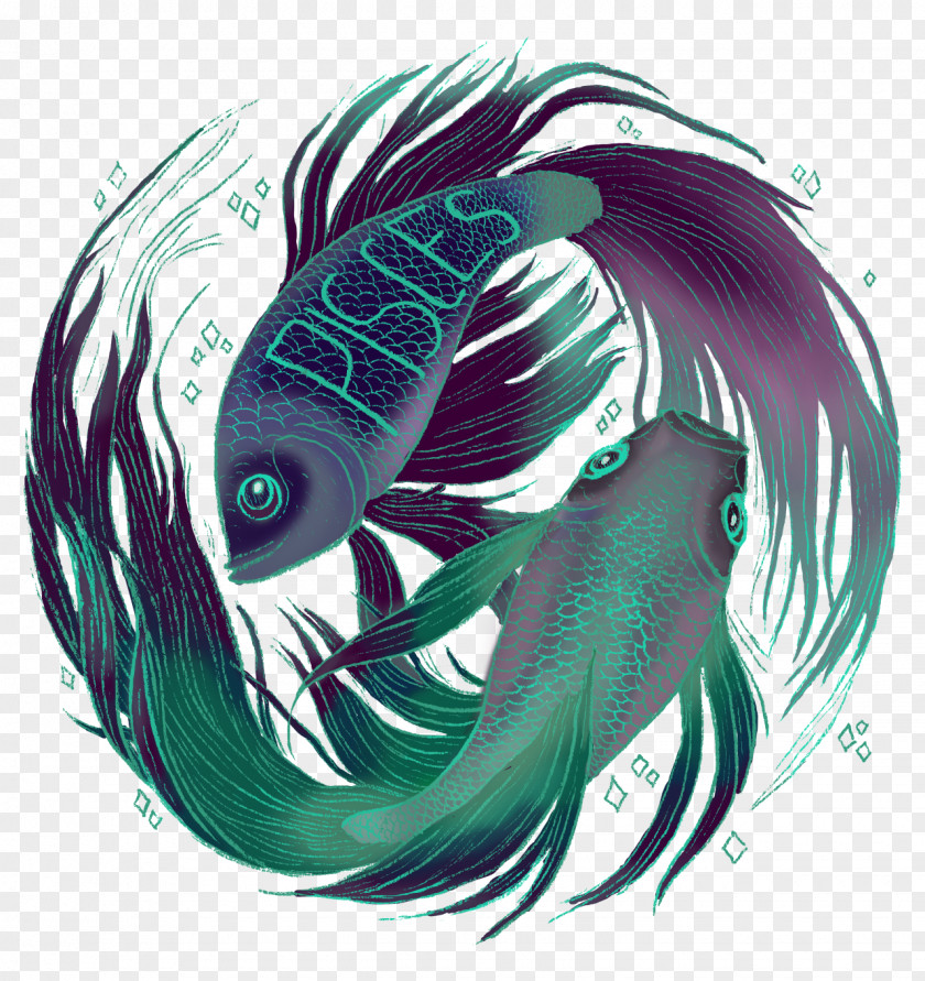 Fish Drawing Graphic Design Illustrator PNG