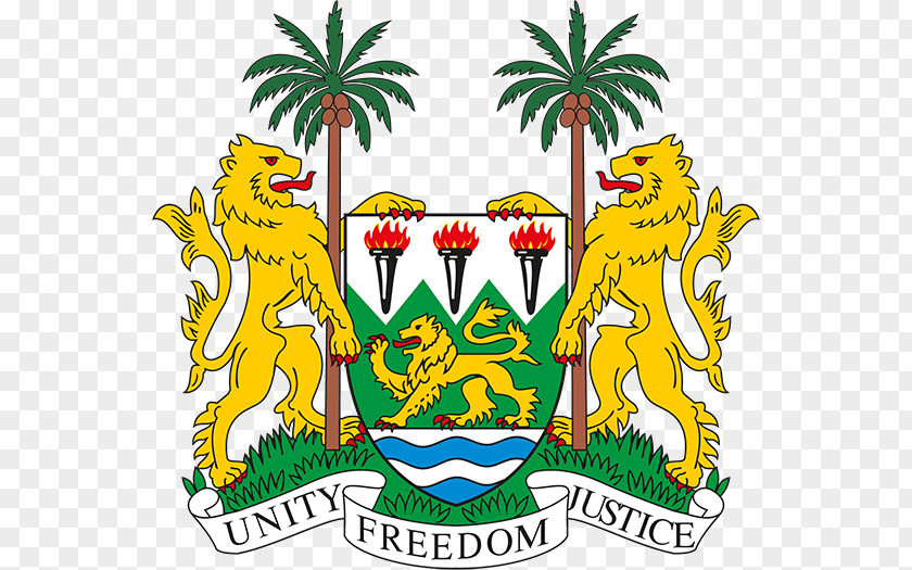 Flag Of Sierra Leone Government Parliament Constitution PNG