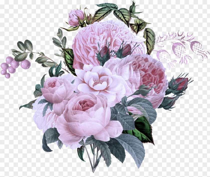 Rose Family Garden Roses PNG
