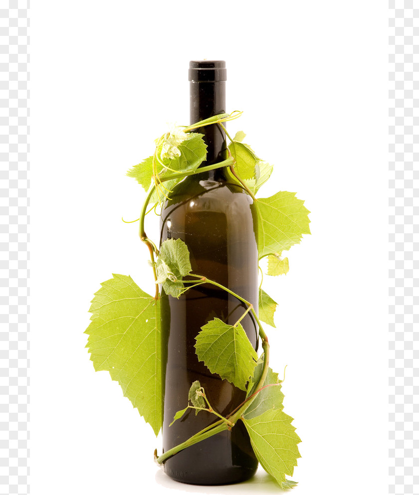 Wine Common Grape Vine Red Bottle PNG