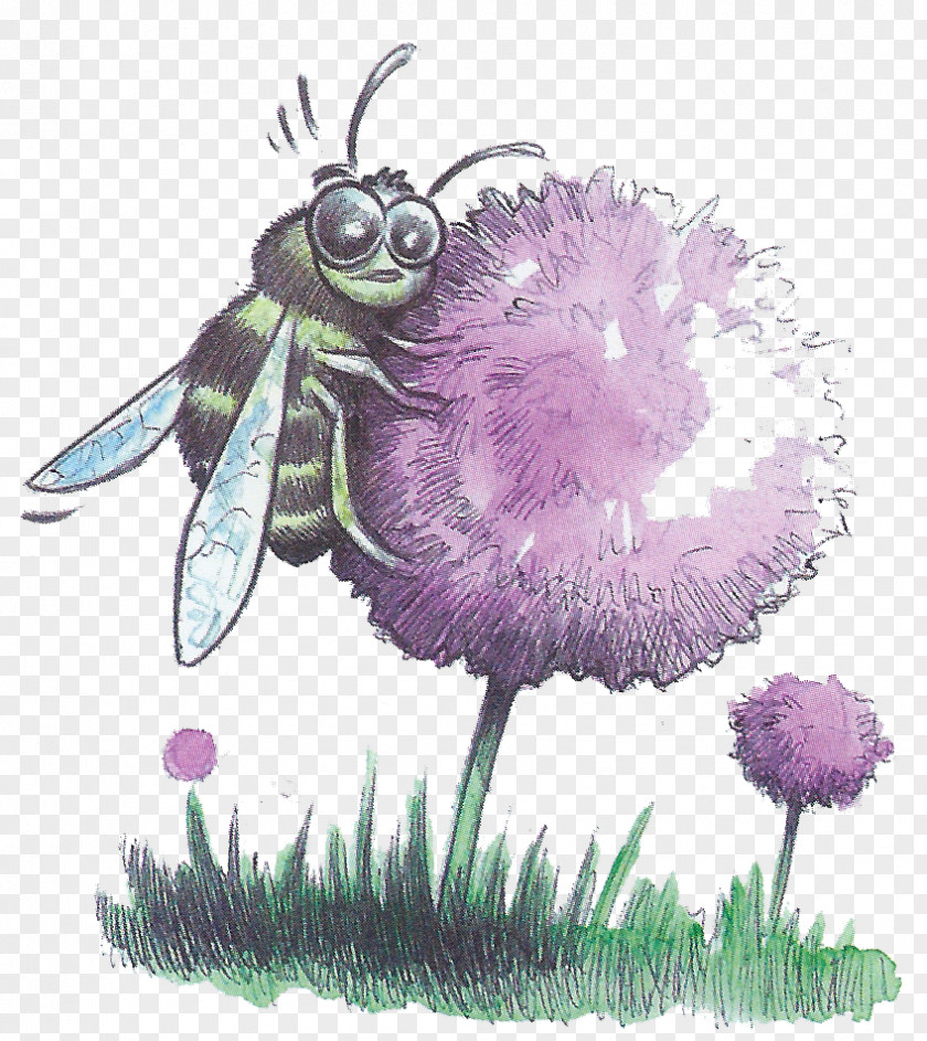 Butterfly Honey Bee Illustration Flower PNG