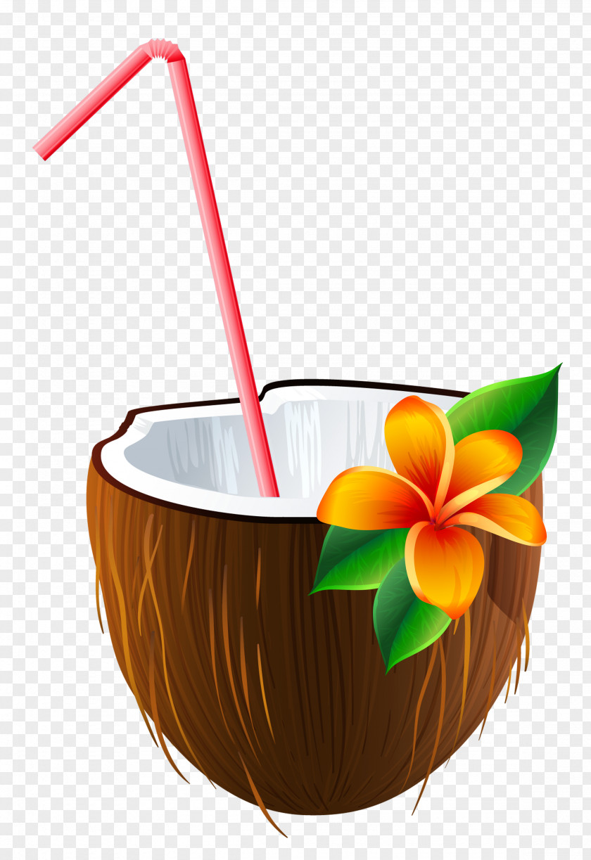 Exotic Coconut Cocktail Clipart Image Blue Hawaii Piña Colada Margarita Water PNG